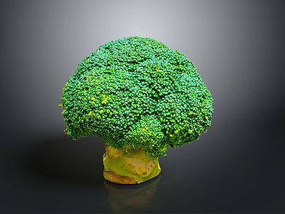 Vibrant Fresh Green Broccoli with Yellow Stem on Gray Background 3d model