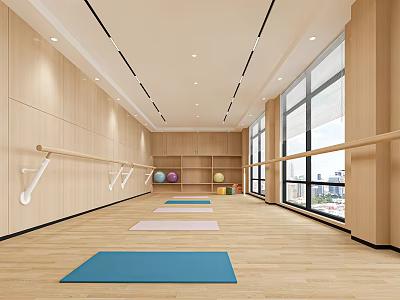 Fitness Studio With Yoga Mats Ballet Barres And Large Windows 3d model