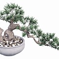 Indoor modeling tree potted plant 3d model