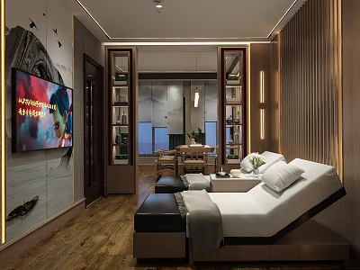 Modern SPA Sauna Room With Massage Bed Wooden Elements TV Bookshelves And Natural Light 3d model
