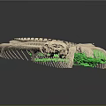 Elongated Animal Skeleton With Green Highlighted Vertebrae Structure 3d model