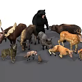Various Wild Animal Figurines Including Bear Deer Moose And Pig On Black Background