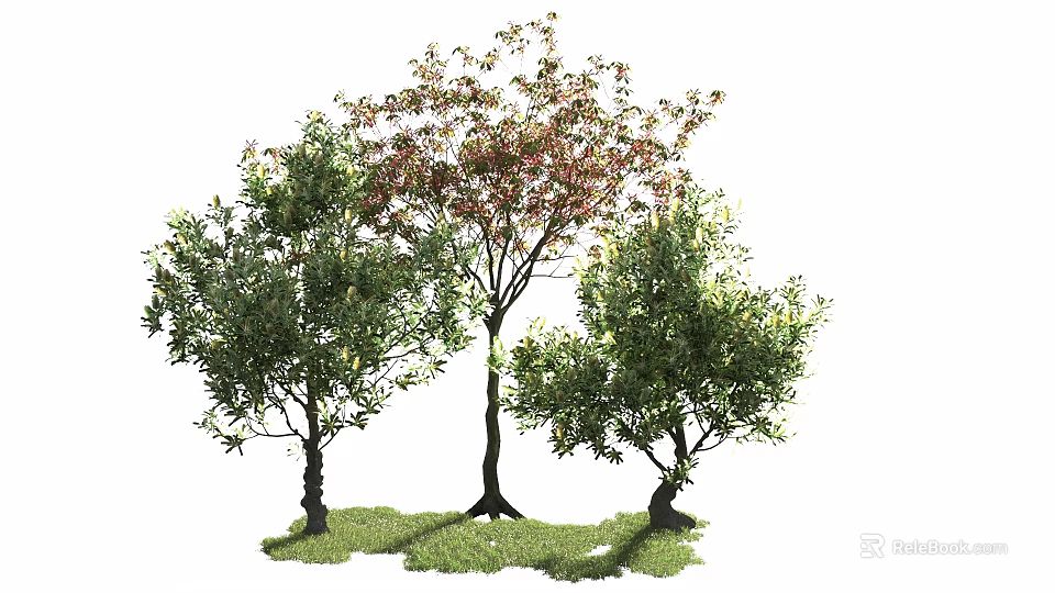 Three Arbor Trees With Green And Red Foliage On Lush Grass Ground 3d model 