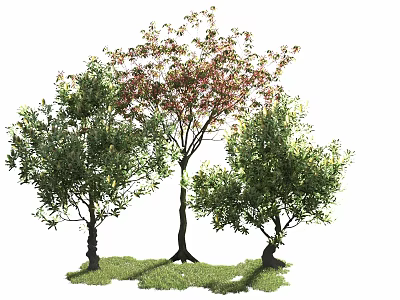 Three Arbor Trees With Green And Red Foliage On Lush Grass Ground 3d model