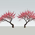 Two Blooming Trees With Pink Flowers And Slender Trunks On Light Background 3d model