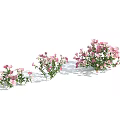 Three Lush Pink Flower Bushes with Green Leaves Against Light Blue Background