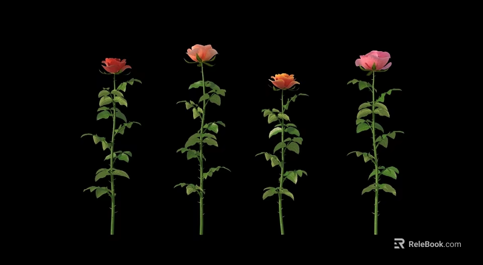 Different Colored Roses with Green Stems and Leaves on Black Background 3d model 