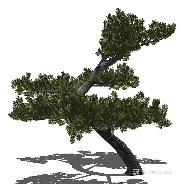 Pine Tree With Curved Trunk And Lush Green Foliage For Garden Landscape 3d model 