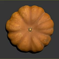Fresh Healthy Ripe Orange Pumpkin Single Whole Vegetable on Dark Background