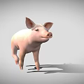 Cute Pink Pig 3D Model as Game Movie Character in Rendered Scene
