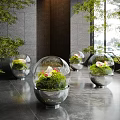 Elegant Indoor Landscape With Glass Spherical Planters Green Plants And Flowers