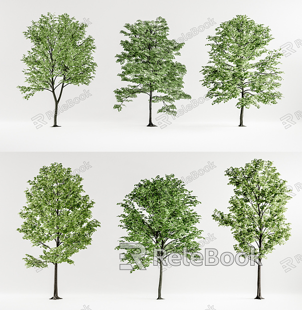 Modern Tree Landscape Tree Combination model