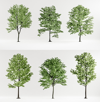 Modern Tree Landscape Tree Combination 3d model