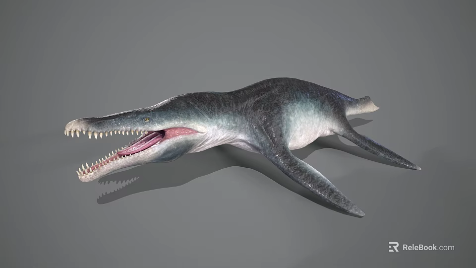 Realistic Aquatic Animal With Long Snout Sharp Teeth Large Fins And Streamlined Body Model 3d model 