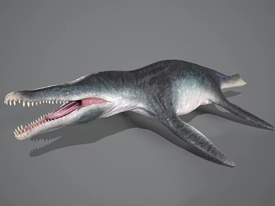 Realistic Aquatic Animal With Long Snout Sharp Teeth Large Fins And Streamlined Body Model 3d model