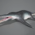 Realistic Aquatic Animal With Long Snout Sharp Teeth Large Fins And Streamlined Body Model