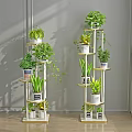 Multi Tiered Indoor Plant Stands With Various Green Plants And Decor