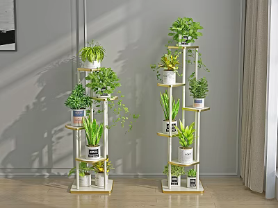 Multi Tiered Indoor Plant Stands With Various Green Plants And Decor 3d model