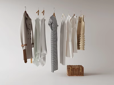 Hanging Clothes in Various Styles with Wicker Basket for Wardrobe 3d model