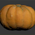 Fresh Bright Orange Round Pumpkin with Smooth Texture for Healthy Autumn Recipes