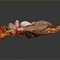 Garden Decorative Piece With Natural Stones And Colorful Autumn Fall Leaves
