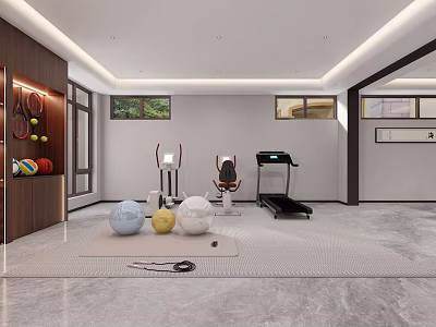 Entertainment Room Interior With Fitness Equipment Yoga Balls Treadmill And Wooden Storage 3d model