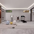 Entertainment Room Interior With Fitness Equipment Yoga Balls Treadmill And Wooden Storage