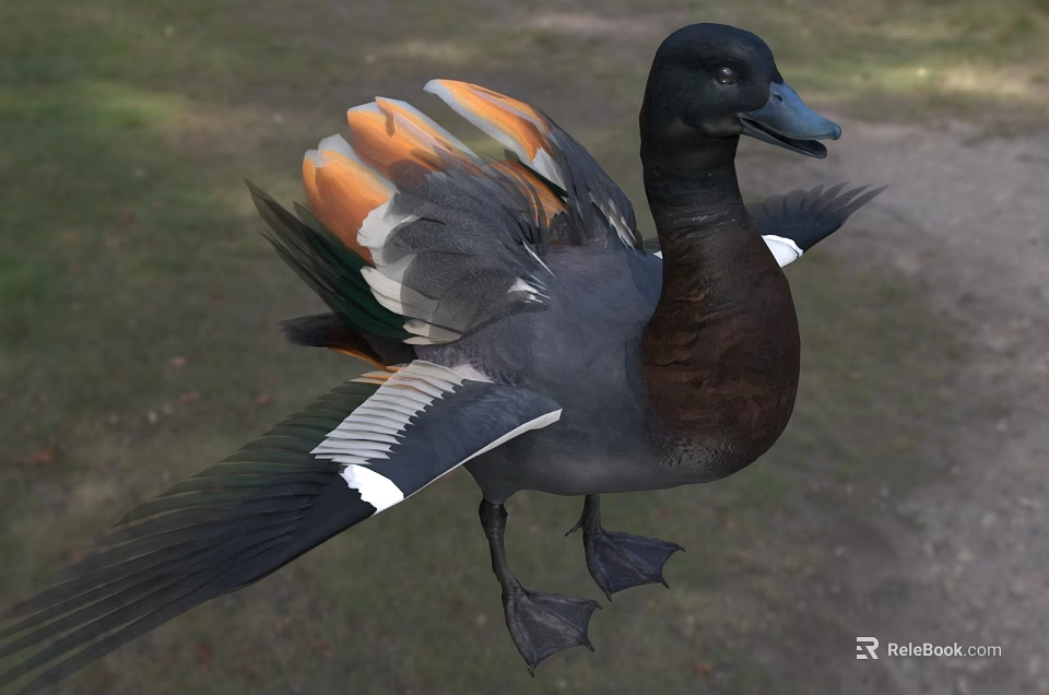 Reptile With Black Head And Orange Gray Scales Standing On Grass And Dirt Ground 3d model 