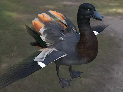 Reptile With Black Head And Orange Gray Scales Standing On Grass And Dirt Ground 3d model