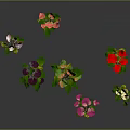 Colorful Flowering Plants With Pink Red Yellow Flowers Green Leaves On Gray Background