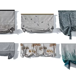 Advanced gray imported art pattern Roman curtain combination 3d model