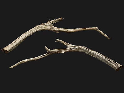 Natural Stone And Weathered Wooden Branches For Rustic Interior Decor 3d model
