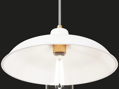 Modern Pendant Light With White Dome Shade Brass Accents And Clear Bulb Design 3d model