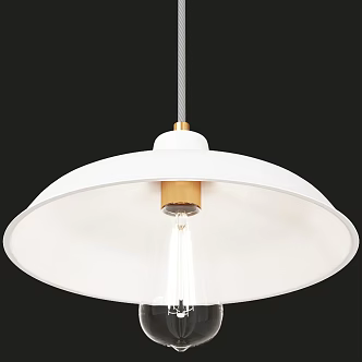 Chandelier Lamps Lighting Lamps Decorative Lamps 3d model