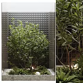 Lush Green Shrub In Modern Courtyard With Black Textured Wall Round Lighting And Concrete Planter
