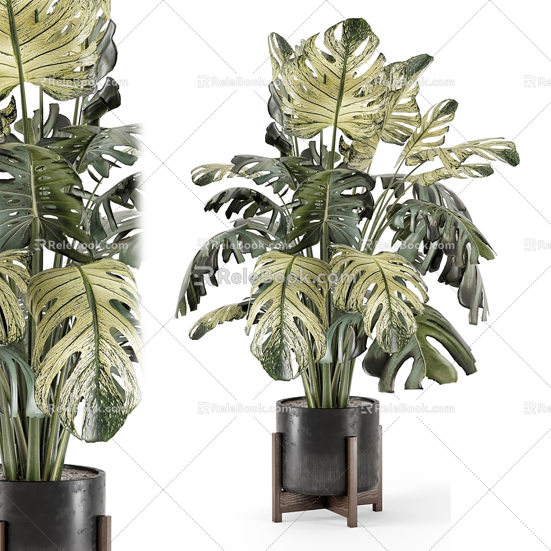 potted plant model