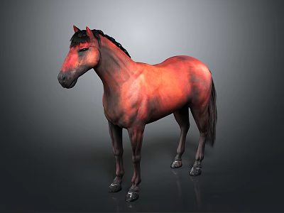 Reddish Brown Horse With Black Mane And Tail Standing Against Gray Background 3d model