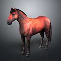 Reddish Brown Horse With Black Mane And Tail Standing Against Gray Background