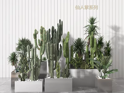 Indoor Cactus Series Bonsai Potted Plants In Modern White Metal Planters 3d model