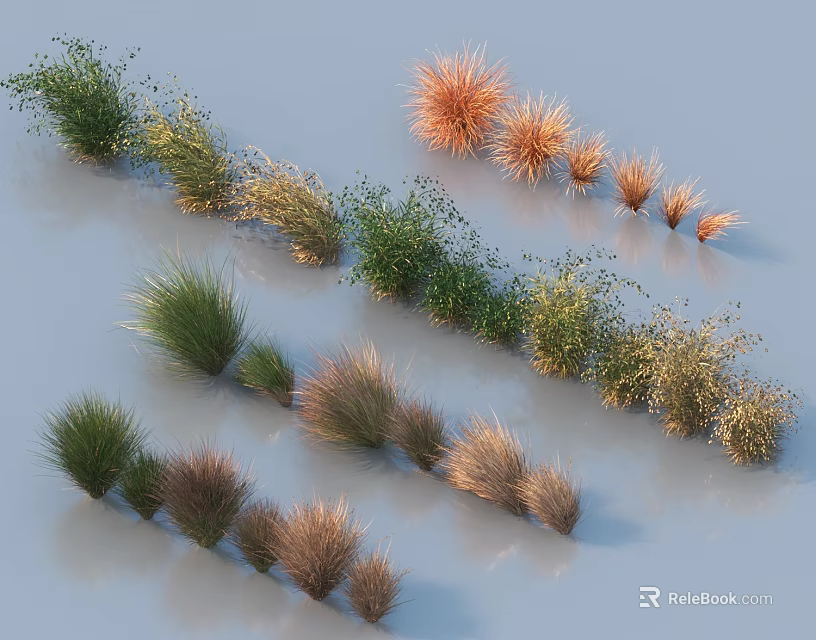 Diverse Ornamental Grasses in Green Brown Orange Tones with Various Shapes Arranged on Light Background 3d model 