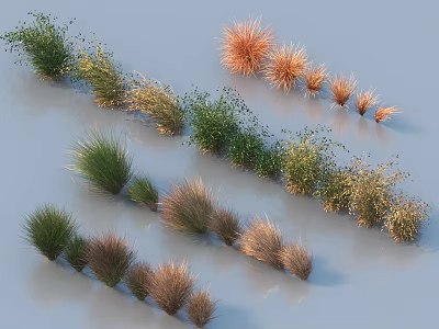 Diverse Ornamental Grasses in Green Brown Orange Tones with Various Shapes Arranged on Light Background 3d model