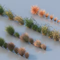 Diverse Ornamental Grasses in Green Brown Orange Tones with Various Shapes Arranged on Light Background