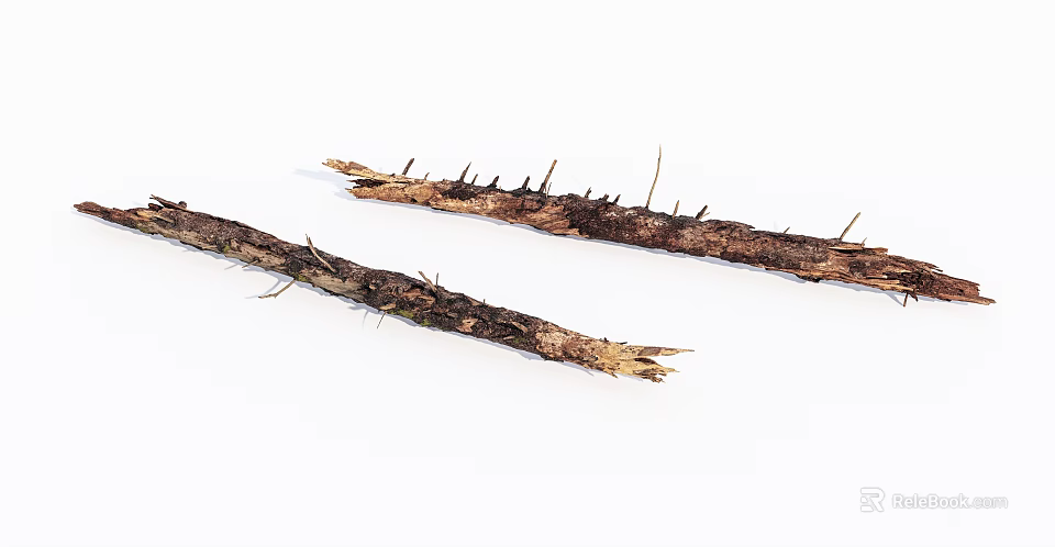 Natural Raw Wood Branches With Thorns And Rough Surface Texture 3d model