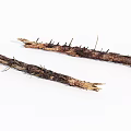 Natural Raw Wood Branches With Thorns And Rough Surface Texture 3d model