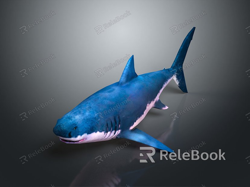 shark great white shark whale shark hammerhead shark tiger head shark man-eating shark blue shark coral red coral white coral model