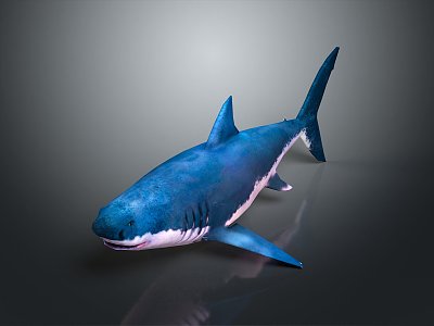 shark great white shark whale shark hammerhead shark tiger head shark man-eating shark blue shark coral red coral white coral model