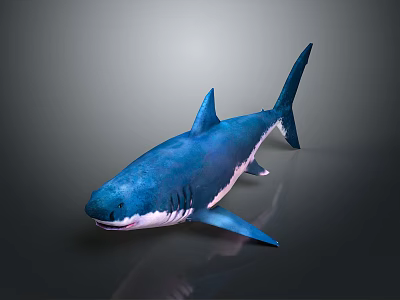 Realistic Blue Shark 3D Rendered Aquatic Animal With Detailed Body Features 3d model