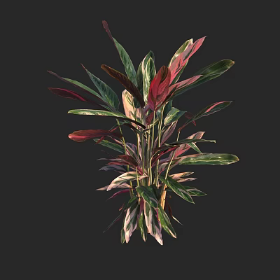 modern plant green plant 3d model modern plant green plant 3d model