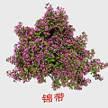 Beautiful Garden Flowers Featuring Yellow Forsythia Winter Jasmine Purple Lilac And Flowering Almond