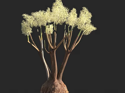Lush Arbor With Multiple Trunks Pale Foliage And Visible Root Base 3d model